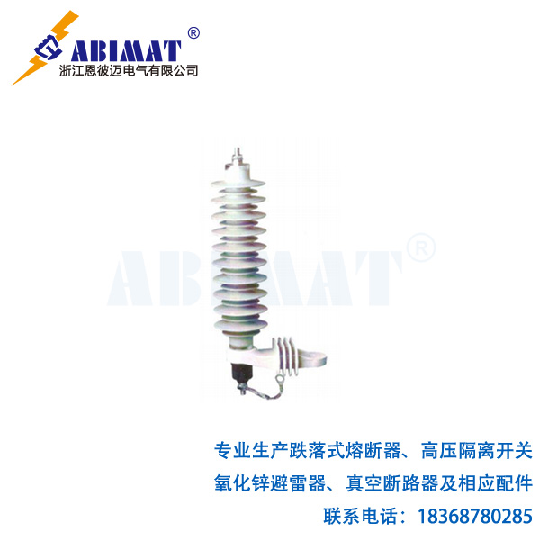 防污型避雷器5-恩彼邁
